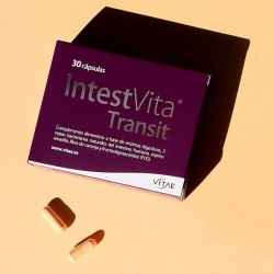 Vitae - Vitae IntestVita Transit 30comp - Farmacia Sarasketa